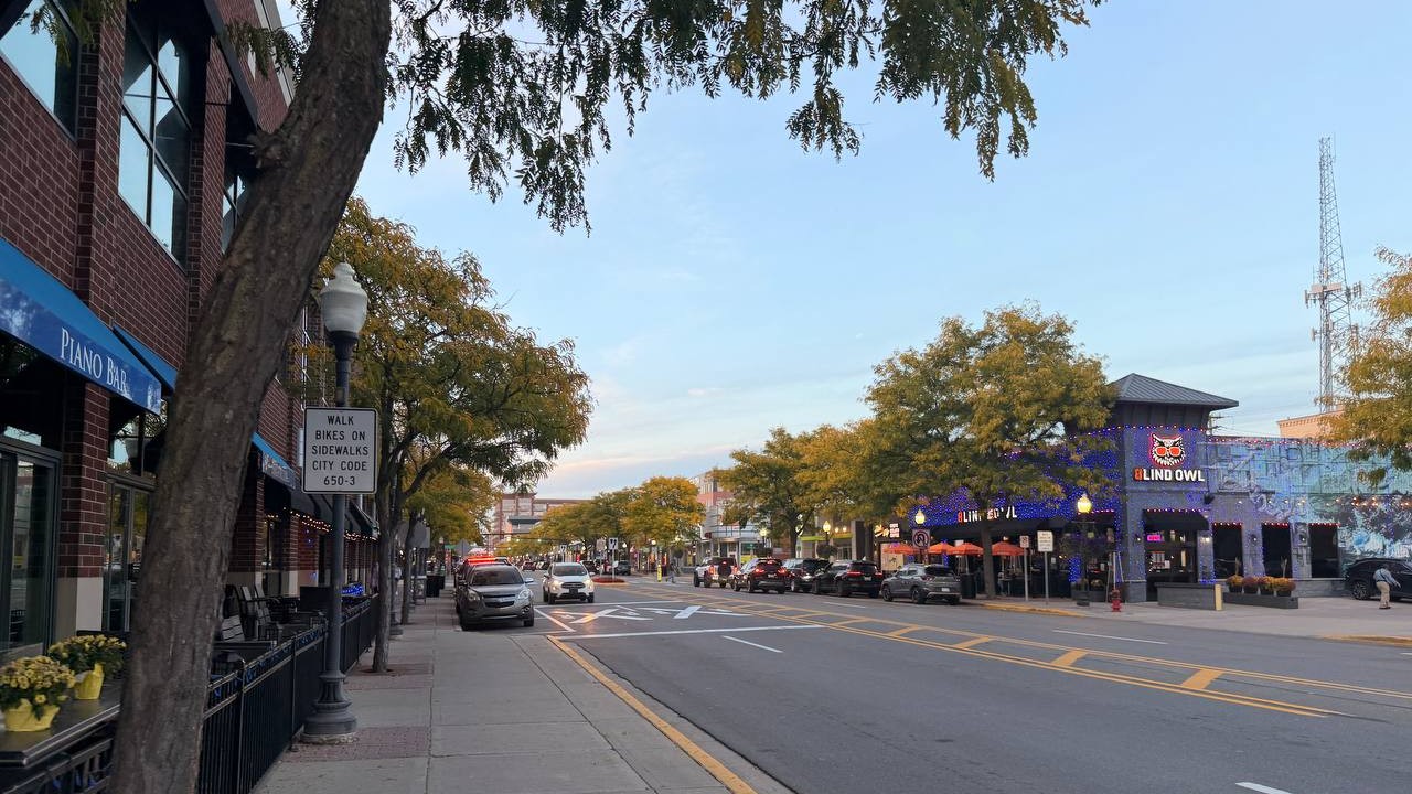 Main Street in downtown Royal Oak, Piano Bar on the left and Blind Owl across the street